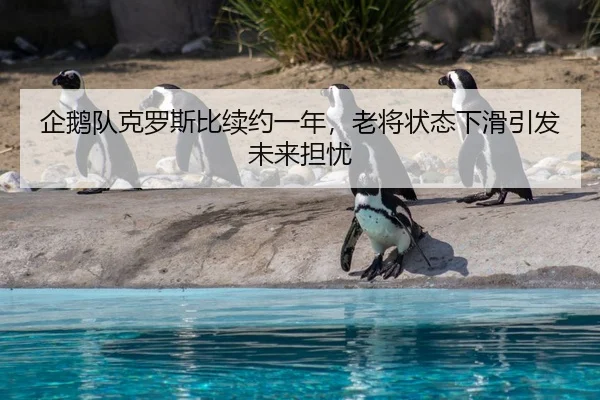 企鹅队克罗斯比续约一年，老将状态下滑引发未来担忧
