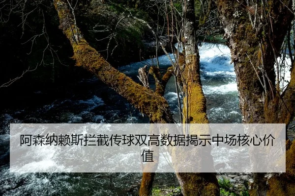 阿森纳赖斯拦截传球双高数据揭示中场核心价值