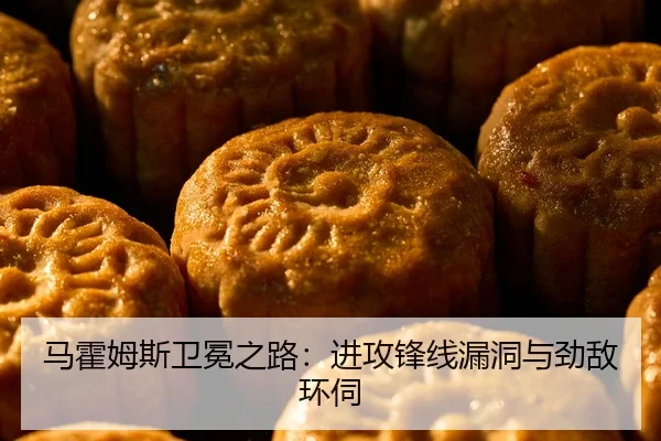 马霍姆斯卫冕之路：进攻锋线漏洞与劲敌环伺