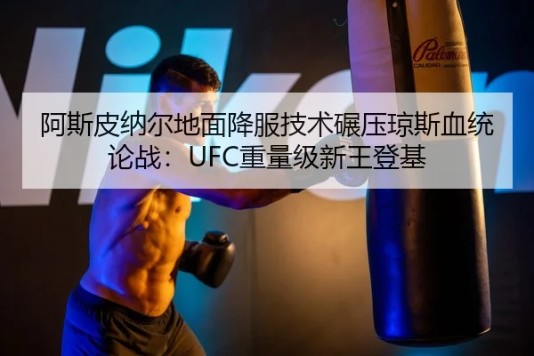 a-si-pi-na-er-di-mian-xiang-fu-ji-shu-nian-ya-qiong-si-xue-tong-lun-zhan-zhong-liang-ji-xin-wang-deng-ji-3-905.jpg