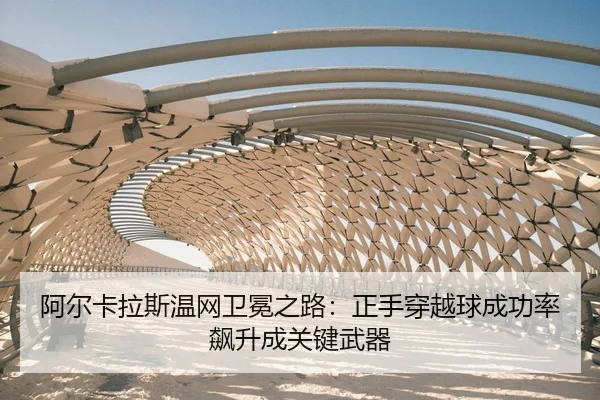 a-er-ka-la-si-wen-wang-wei-mian-zhi-lu-zheng-shou-chuan-yue-qiu-cheng-gong-lv-biao-sheng-cheng-guan-jian-wu-qi-2-931.jpg