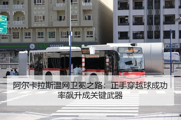 a-er-ka-la-si-wen-wang-wei-mian-zhi-lu-zheng-shou-chuan-yue-qiu-cheng-gong-lv-biao-sheng-cheng-guan-jian-wu-qi-3-232.jpg