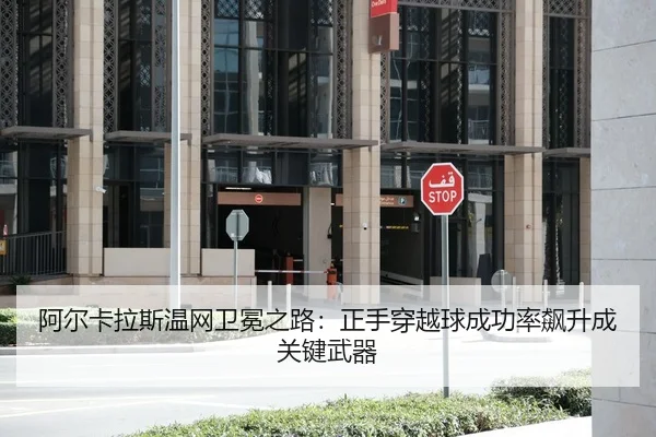 阿尔卡拉斯温网卫冕之路：正手穿越球成功率飙升成关键武器